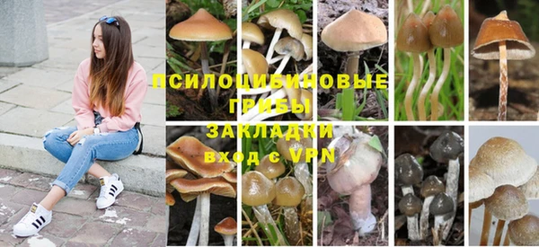 не бодяженный Володарск