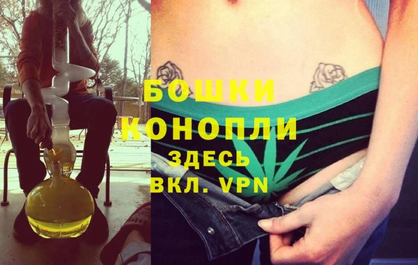 индика Покровск